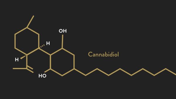 CBD Oil Safety Concerns and Considerations on Quora