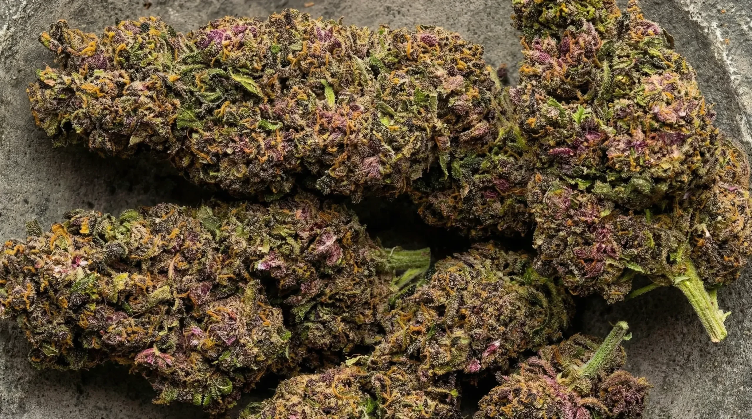 Learn How to Choose the Right delta 8 flower for Your Needs